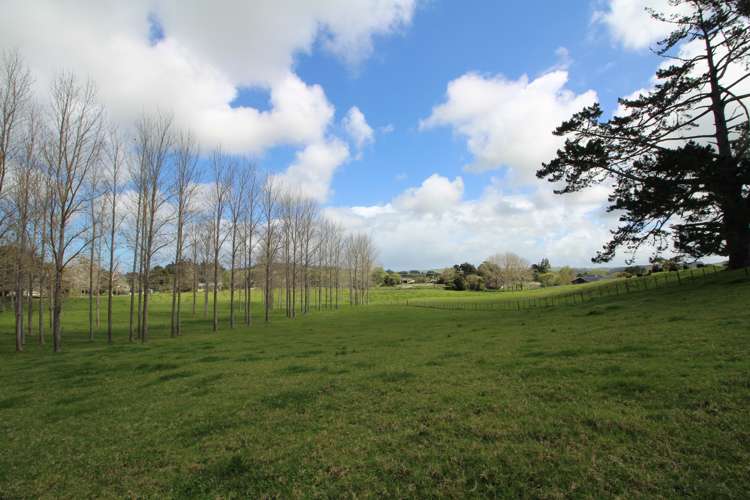 133 Colville Road Dargaville_17