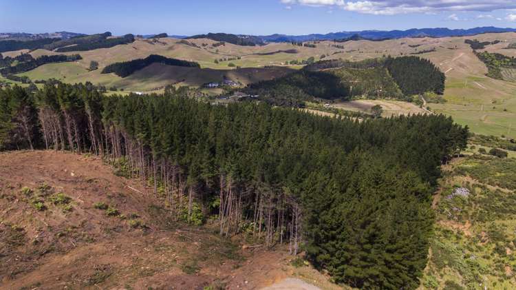 220 Mill Creek Road Kaimarama_15