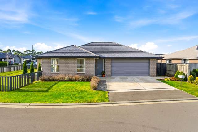 Modern Elegance Meets Everyday Comfort