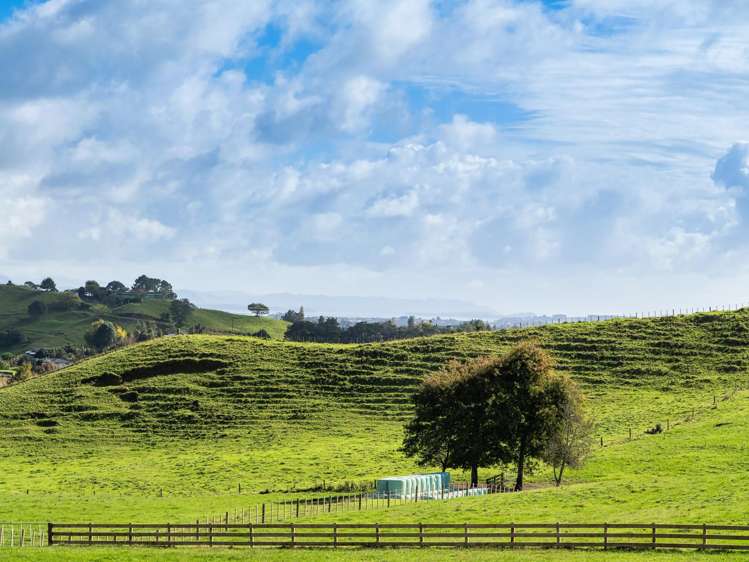 Lot 2,164C Crawford Road Te Puna_7