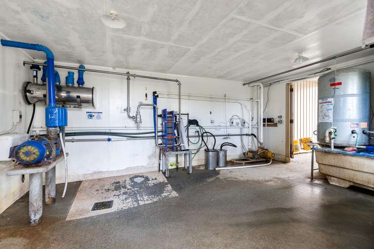 1369 Te Aroha-Gordon Road Manawaru_21