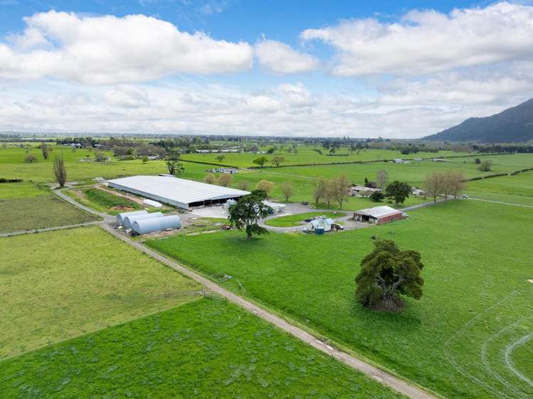 McKinley Road Te Aroha_14