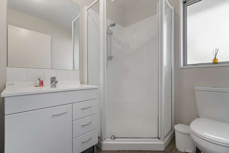 12 Willard Street Spreydon_12