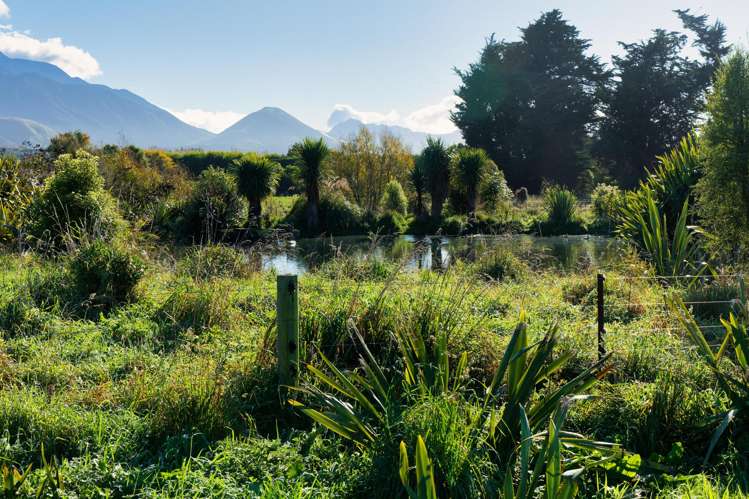 386 Mount Fyffe Road Kaikoura_20