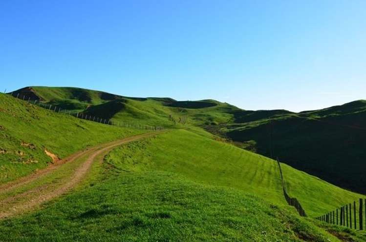 83 Kerr Road Glen Murray_11