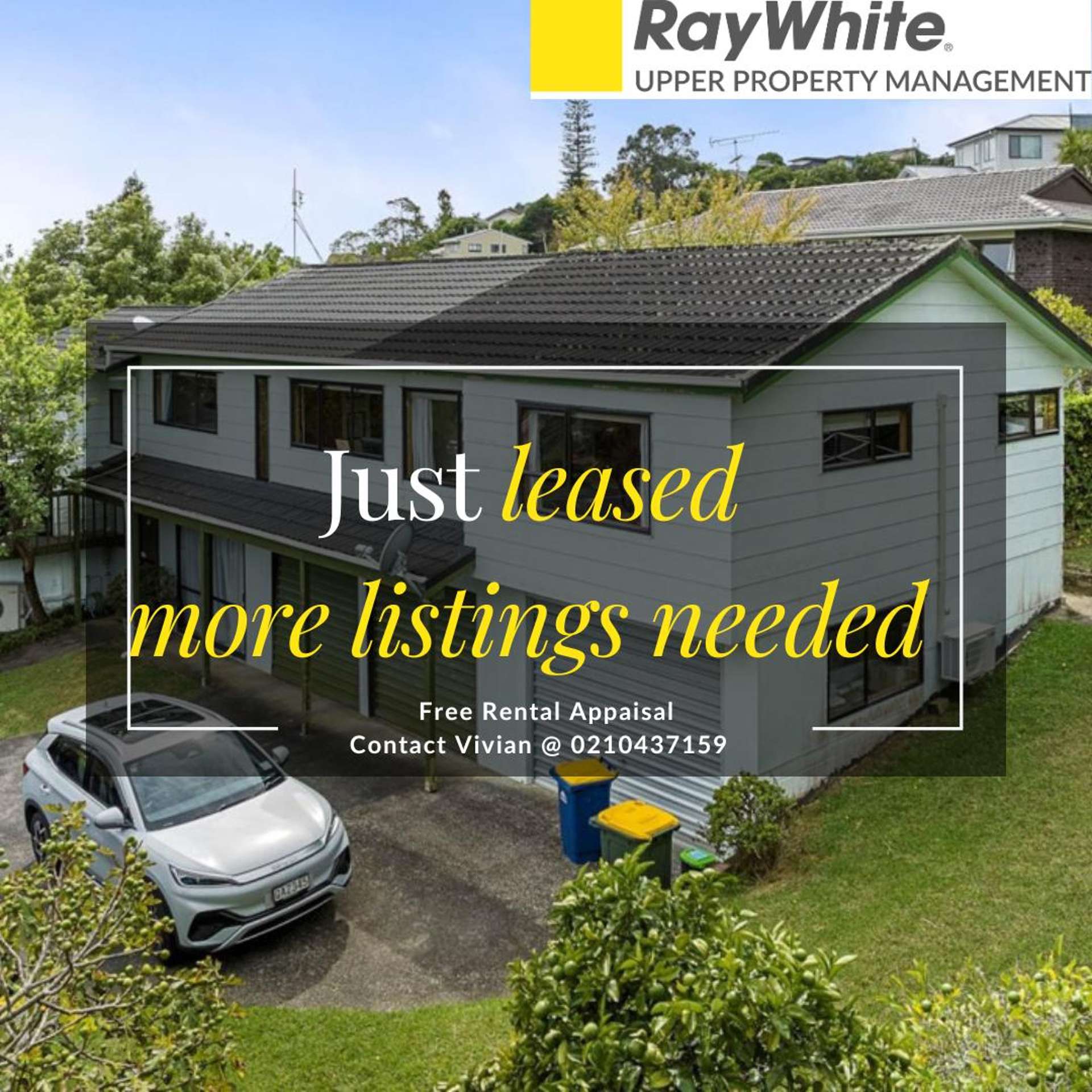 4 Dianthus Place Browns Bay_0