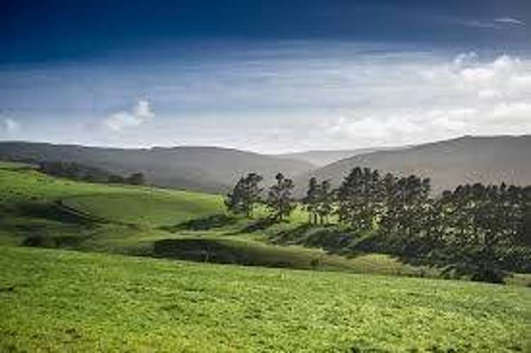 Address withheld Pukekohe_7