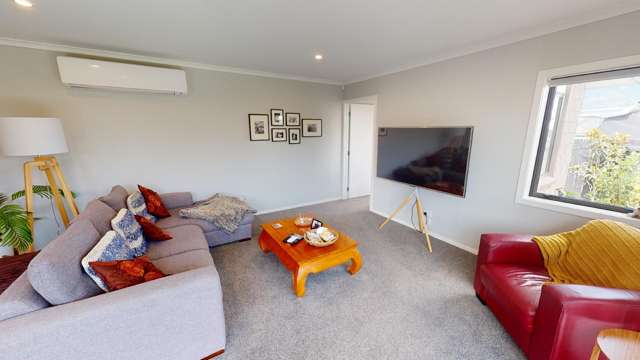 10 Towler Lane Feilding_2