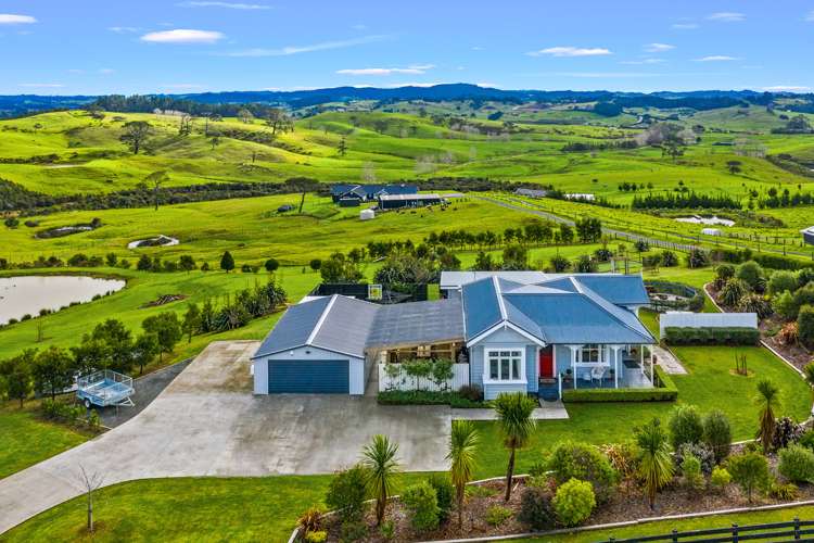 286 Austin Road Dairy Flat_4