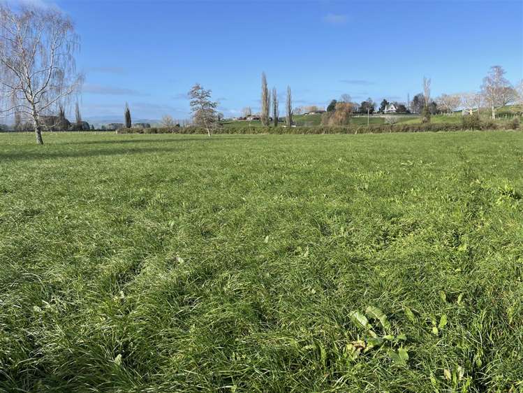 163C Old Te Kuiti Road Otorohanga_11