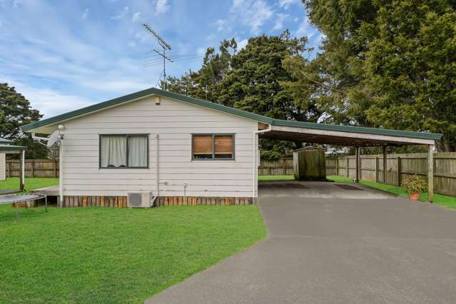 17 Freyberg Crescent Pukekohe_3