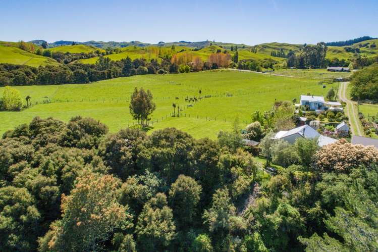 583 Apley Road Puketapu_18