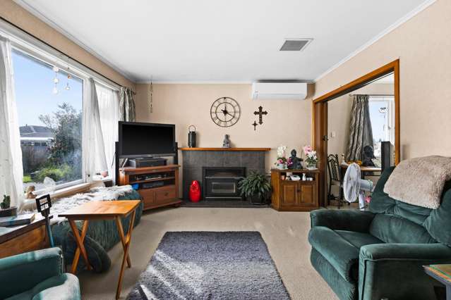 103a Masefield Avenue Maraenui_3