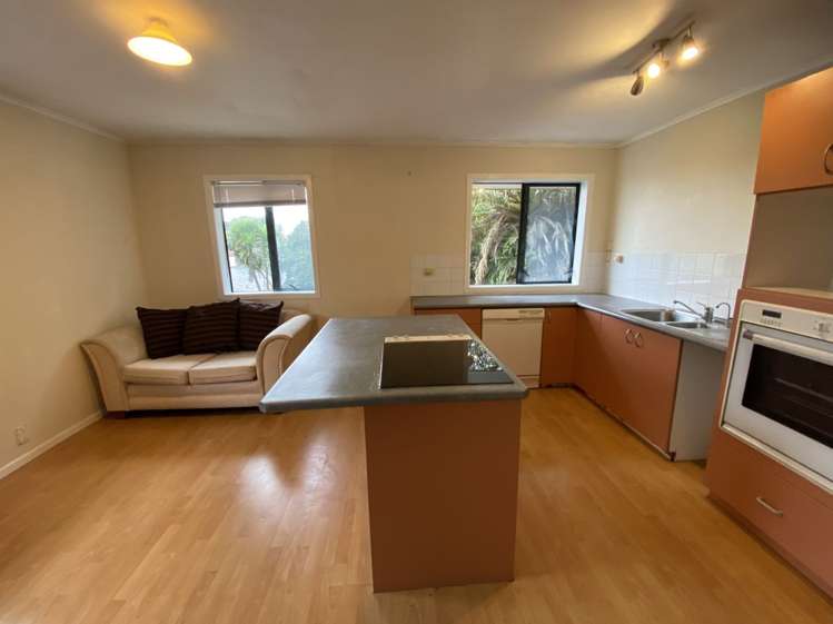 57 Astley Avenue New Lynn_4