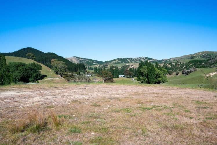 Hedgeley Road Puketapu_15