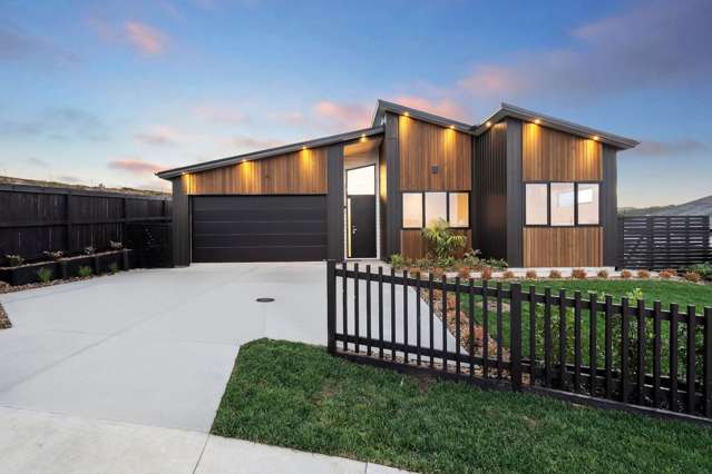 37 Pekanga Road Millwater_4