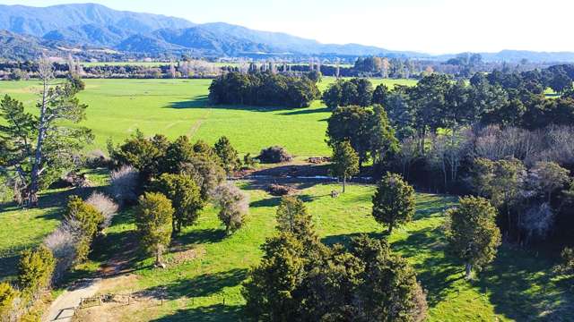 Hamama Road Takaka_4