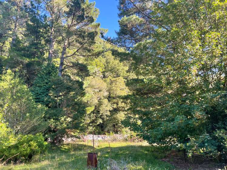 7 Franklyn Street Reefton_12