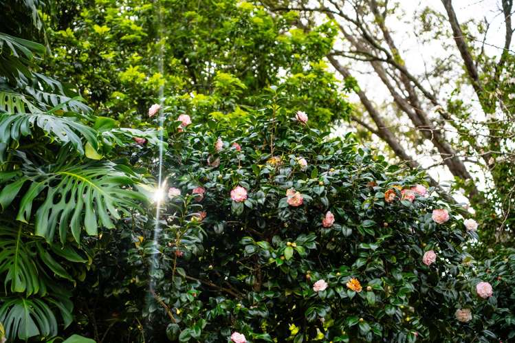 125a Portland Road Remuera_11