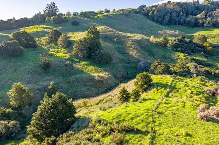 61A Porter Road Paparoa_11