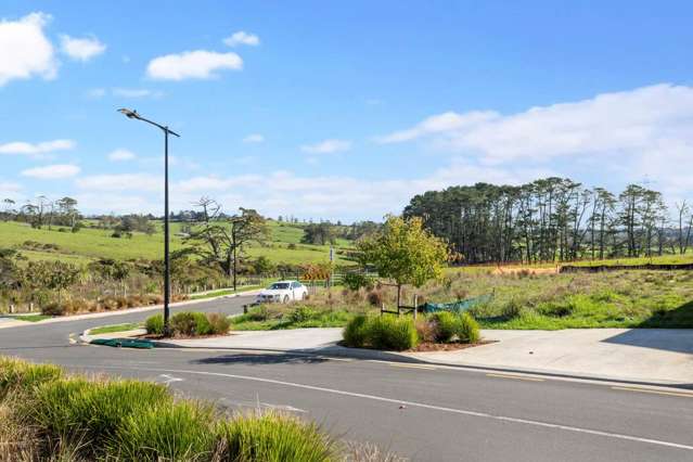 86 Puwha Street Massey_1