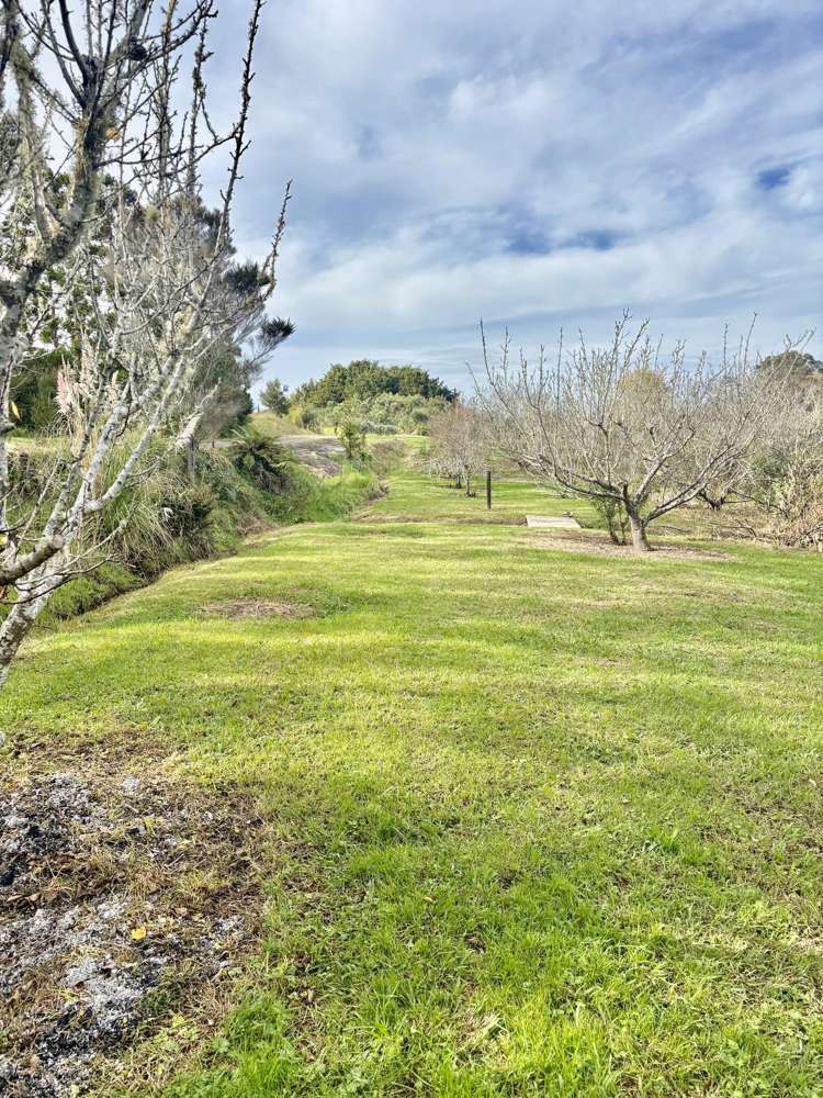 3/69A Vineyard Lane Mangawhai_12