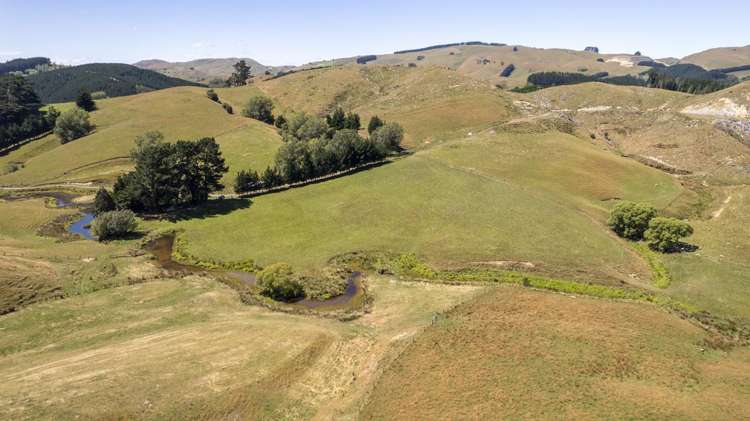 247 South Road, Mauriceville Masterton_10