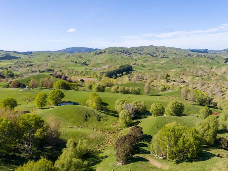 2122 Masterton Castlepoint Road Masterton_6