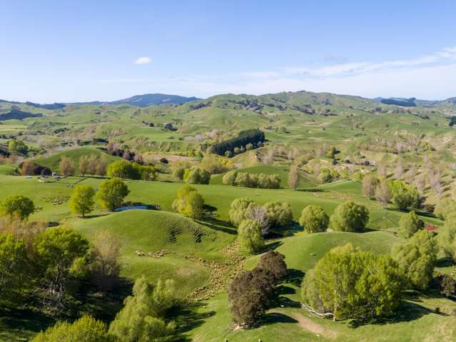 Hill Country Opportunity