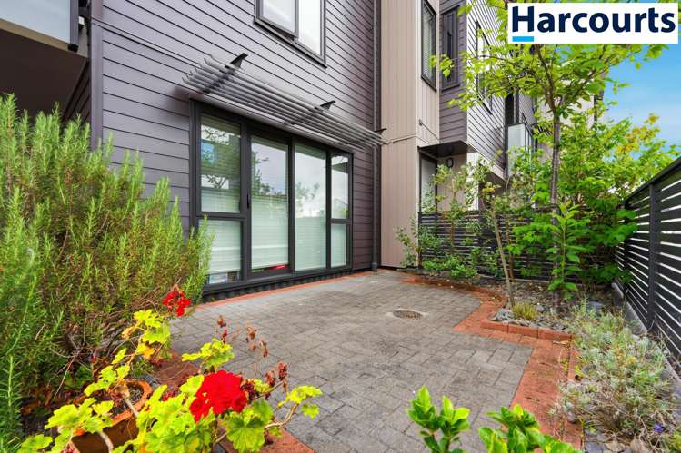 10 Harold Street Mount Eden_5