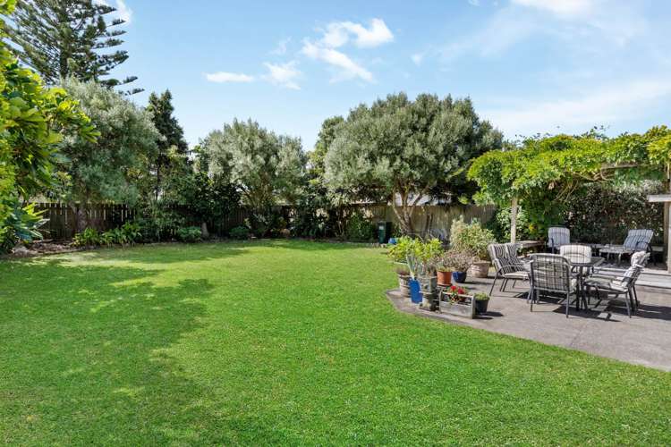 20 Henry Street Avondale_9