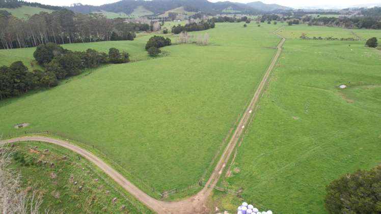 966 Te Ahu Ahu Road Kerikeri Surrounds_13