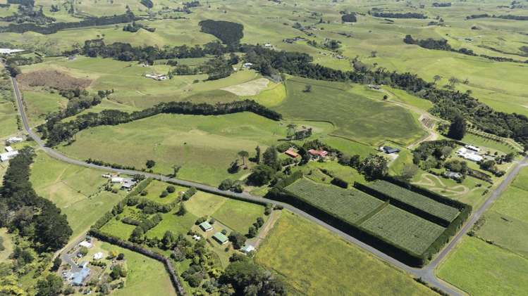 250 Taurangaruru Road Karioitahi_23