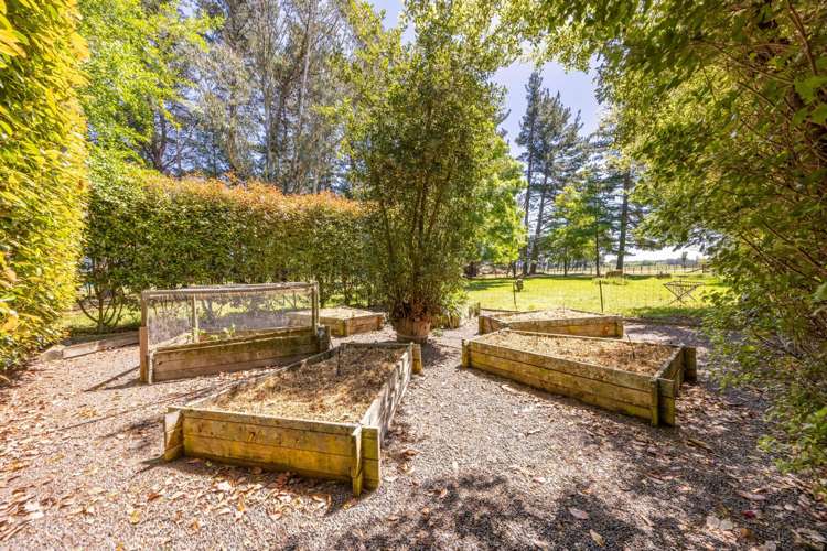 5 Sydney Street Takapau_23