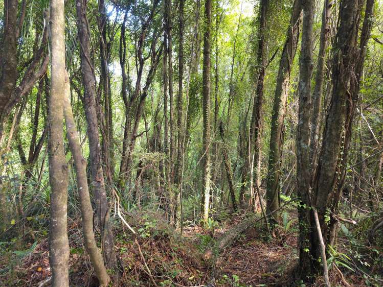 Ballarat Rise Awatuna_8