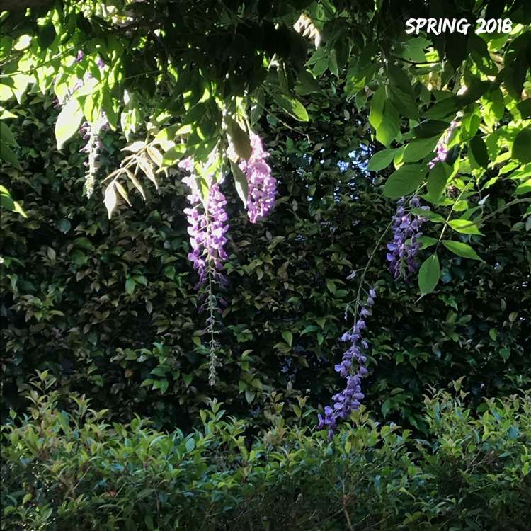 25 Trelawn Place Cockle Bay_29