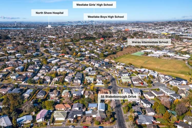 55 Blakeborough Drive Forrest Hill_31