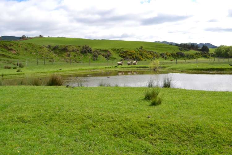 227 Overtons Road Scargill_3