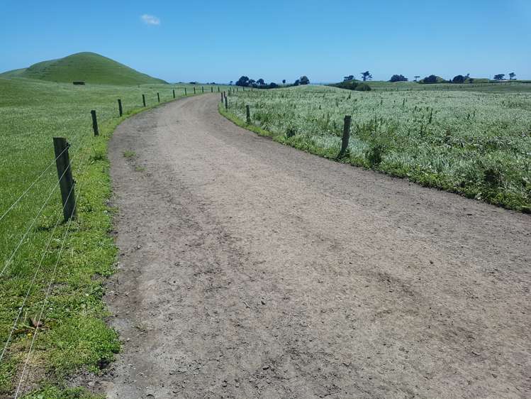 139 Bayly Road Warea_15