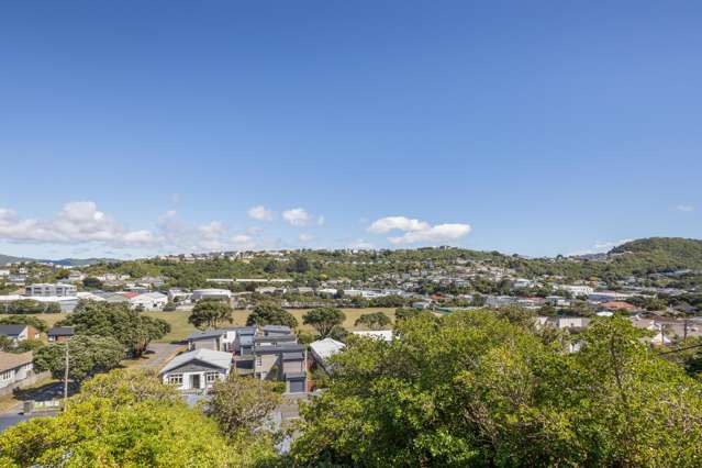 14 Totara Terrace Miramar_2