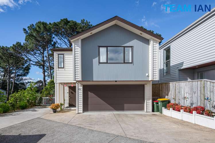 73A Granville Drive Massey_33