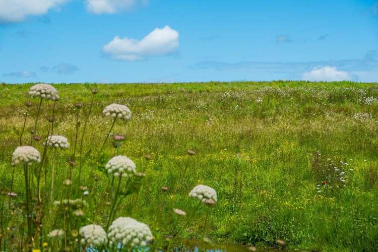 16 Aeropark Drive Dairy Flat_14