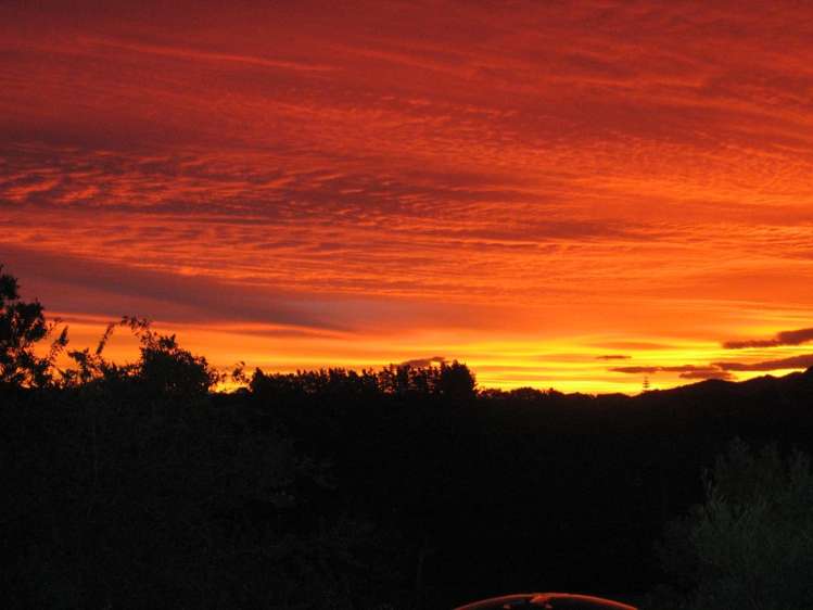 25 Blakes Approach Mahia_14