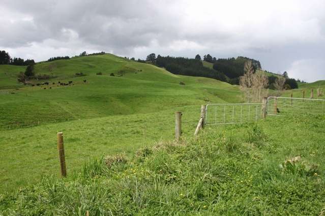 546 Maratoto Road Hikutaia_1