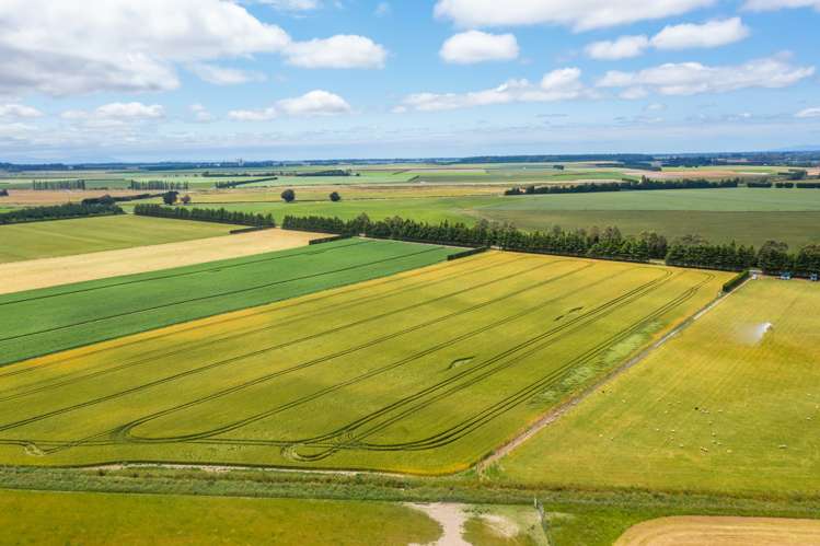 Waireka Road Darfield_8