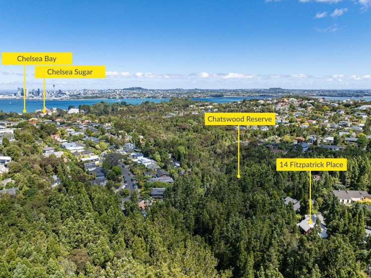 14 Fitzpatrick Place Chatswood_26