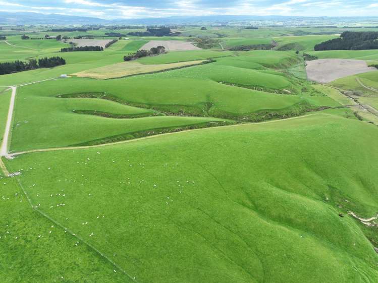 20 Carruthers Road Ashley Downs_6