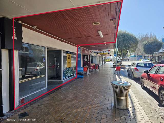 113 Heretaunga Street East Hastings_1