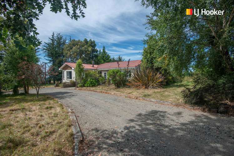 197 Mcintosh Road Brighton_20