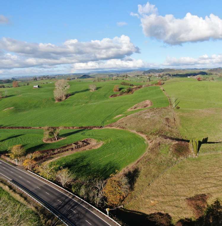 Waitomo Caves Road_3